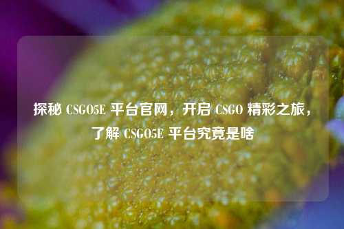 探秘 CSGO5E 平台官网,开启 CSGO 精彩之旅,了解 CSGO5E 平台究竟是啥