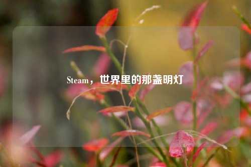 Steam，世界里的那盏明灯