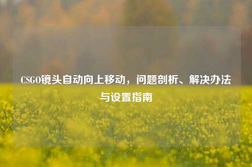 CSGO镜头自动向上移动，问题剖析、解决办法与设置指南