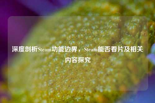 深度剖析Steam功能边界，Steam能否看片及相关内容探究