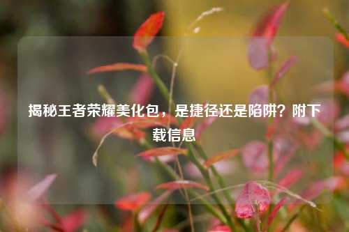 揭秘王者荣耀美化包，是捷径还是陷阱？附下载信息