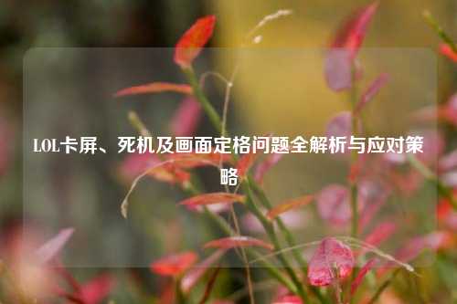 LOL卡屏、死机及画面定格问题全解析与应对策略