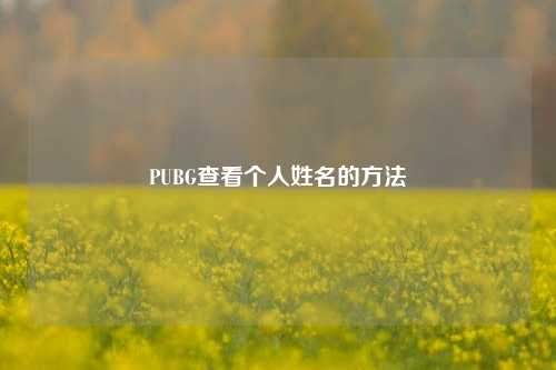 PUBG查看个人姓名的方法