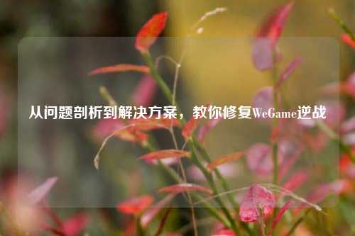 从问题剖析到解决方案,教你修复WeGame逆战