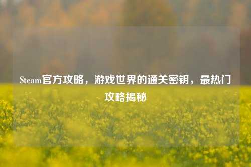 Steam官方攻略,游戏世界的通关密钥,最热门攻略揭秘