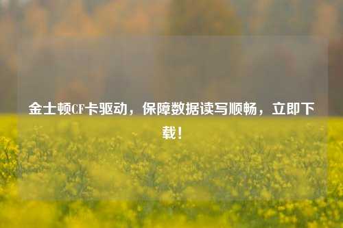 金士顿CF卡驱动,保障数据读写顺畅,立即下载!