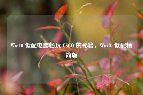 Win10 低配电脑畅玩 CSGO 的秘籍，Win10 低配精简版