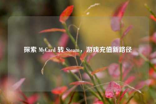 探索 MyCard 转 Steam,游戏充值新路径