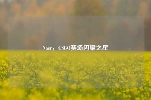 Nasr,CSGO赛场闪耀之星