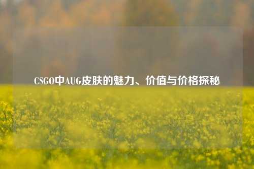 CSGO中AUG皮肤的魅力、价值与价格探秘