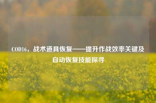 COD16，战术道具恢复——提升作战效率关键及自动恢复技能探寻