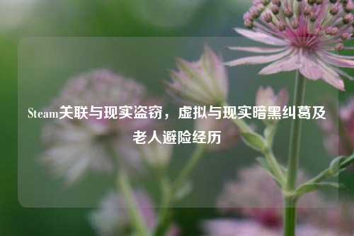Steam关联与现实盗窃,虚拟与现实暗黑纠葛及老人避险经历