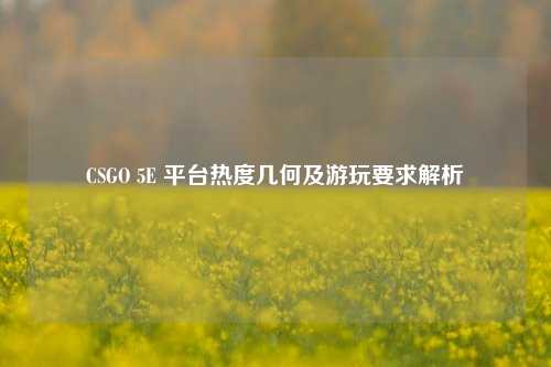 CSGO 5E 平台热度几何及游玩要求解析
