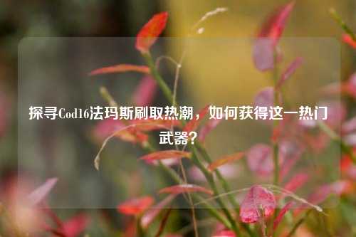 探寻Cod16法玛斯刷取热潮，如何获得这一热门武器？