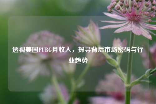 透视美国PUBG月收入,探寻背后市场密码与行业趋势