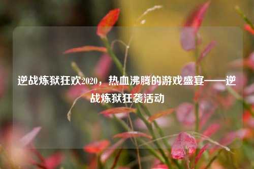 逆战炼狱狂欢2020，热血沸腾的游戏盛宴——逆战炼狱狂袭活动