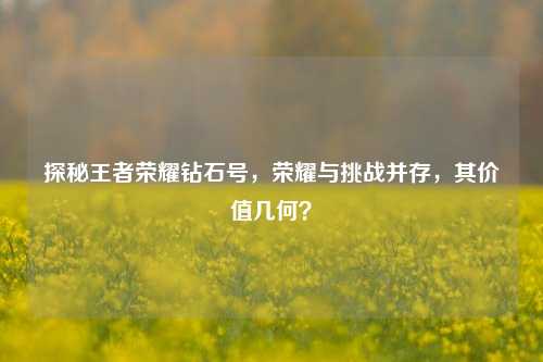 探秘王者荣耀钻石号，荣耀与挑战并存，其价值几何？