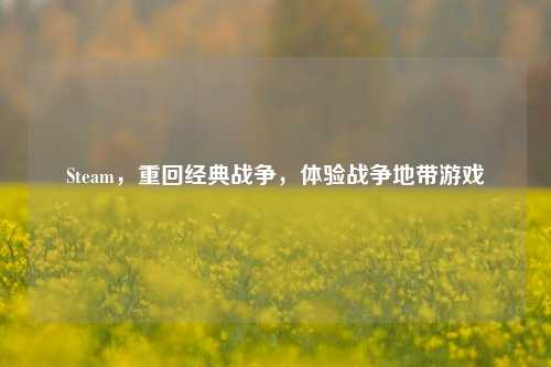 Steam,重回经典战争,体验战争地带游戏