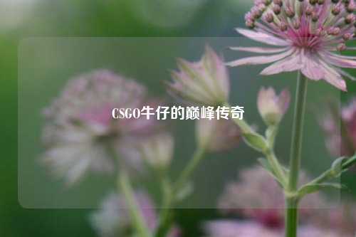 CSGO牛仔的巅峰传奇