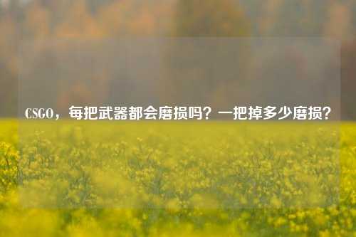 CSGO，每把武器都会磨损吗？一把掉多少磨损？