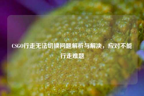 CSGO行走无法切换问题解析与解决，应对不能行走难题