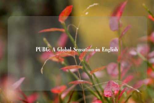 PUBG: A Global Sensation in English