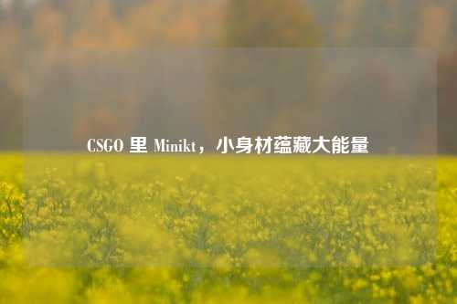 CSGO 里 Minikt，小身材蕴藏大能量