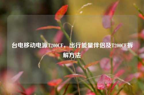 台电移动电源T200CF，出行能量伴侣及T200CE拆解方法