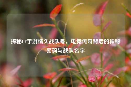 探秘CF手游情久战队号,电竞传奇背后的神秘密码与战队名字