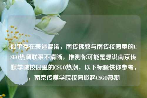 似乎存在表述混淆,南传佛教与南传校园里的CSGO热潮联系不清晰,推测你可能是想说南京传媒学院校园里的CSGO热潮,以下标题供你参考,,南京传媒学院校园掀起CSGO热潮