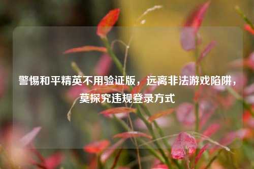 警惕和平精英不用验证版,远离非法游戏陷阱,莫探究违规登录方式