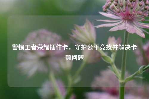 警惕王者荣耀插件卡,守护公平竞技并解决卡顿问题
