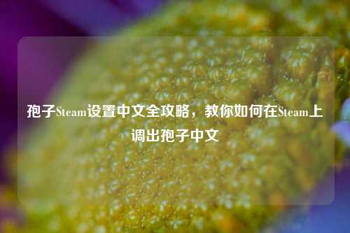 孢子Steam设置中文全攻略,教你如何在Steam上调出孢子中文