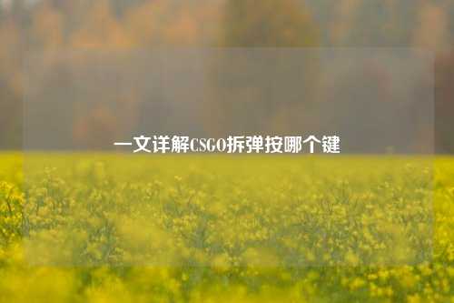 一文详解CSGO拆弹按哪个键
