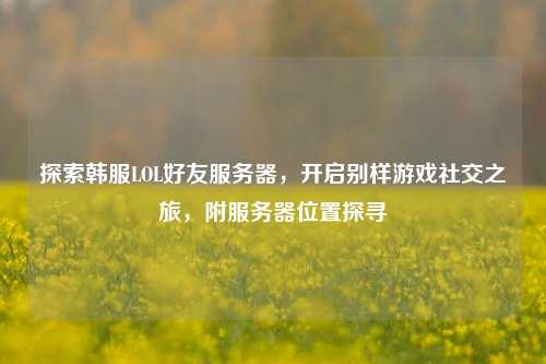 探索韩服LOL好友服务器,开启别样游戏社交之旅,附服务器位置探寻