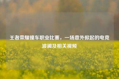 王者荣耀撞车职业比赛,一场意外掀起的电竞波澜及相关视频