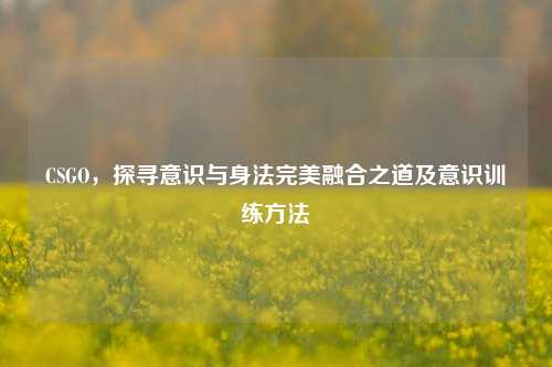CSGO,探寻意识与身法完美融合之道及意识训练方法
