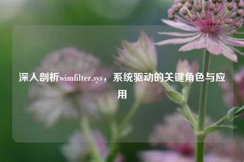 深入剖析wimfilter.sys,系统驱动的关键角色与应用