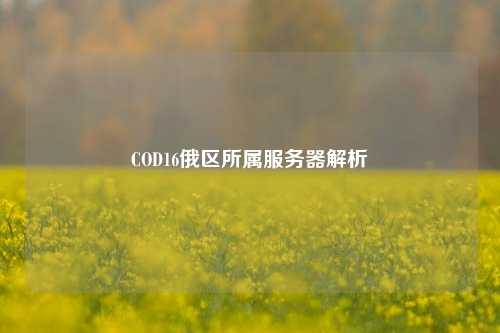 COD16俄区所属服务器解析