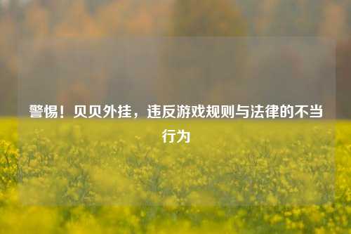 警惕!贝贝外挂,违反游戏规则与法律的不当行为