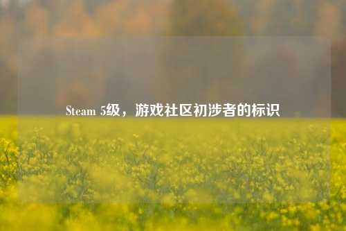 Steam 5级,游戏社区初涉者的标识