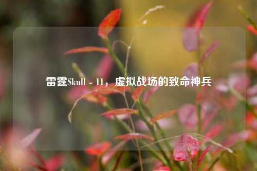 雷霆Skull - 11，虚拟战场的致命神兵