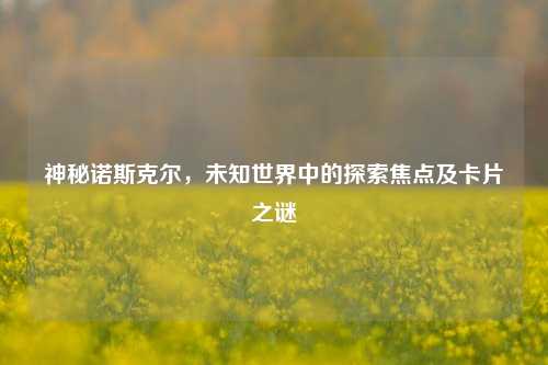 神秘诺斯克尔，未知世界中的探索焦点及卡片之谜