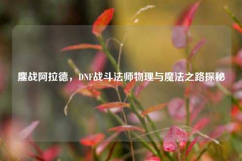鏖战阿拉德,DNF战斗法师物理与魔法之路探秘