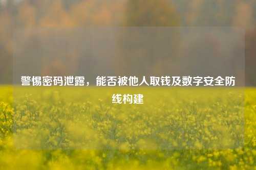 警惕密码泄露,能否被他人取钱及数字安全防线构建