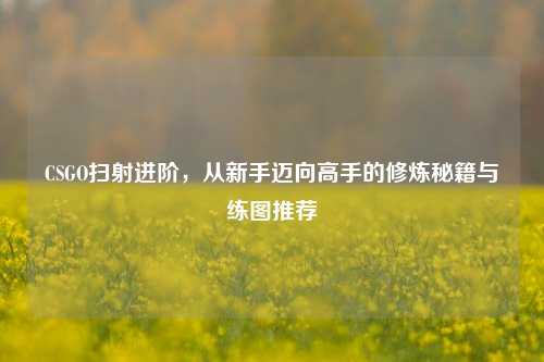 CSGO扫射进阶,从新手迈向高手的修炼秘籍与练图推荐