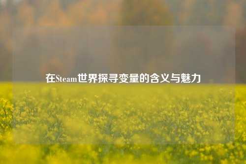 在Steam世界探寻变量的含义与魅力