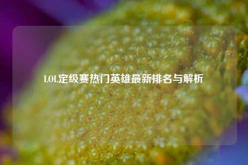 LOL定级赛热门英雄最新排名与解析