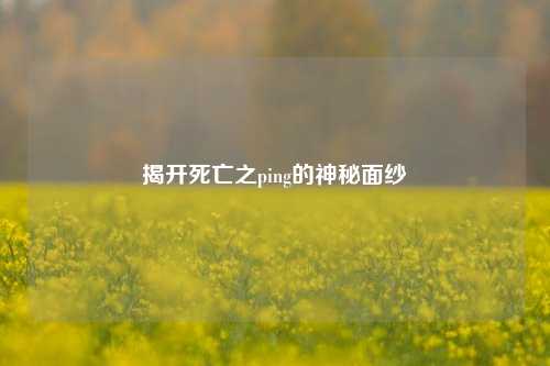 揭开死亡之ping的神秘面纱