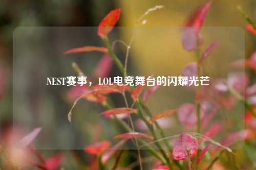 NEST赛事,LOL电竞舞台的闪耀光芒
